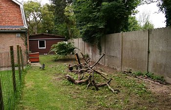 IMG_2522-border.jpg