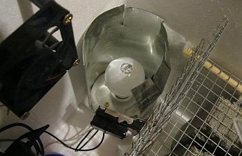 chick-box-light.jpg chick-box-light.jpg