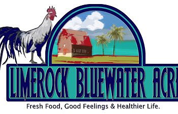 LimerockBluewater-Logo.jpg