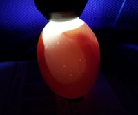 20180519_063307.jpg