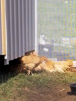 20180519_093550.jpg