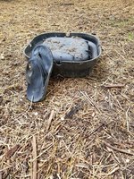 20180519_135927.jpg