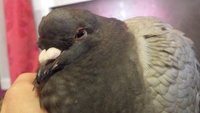 DSCF5955.JPG