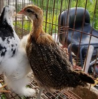 20180519_184821.jpg