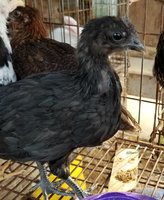 20180519_185328.jpg