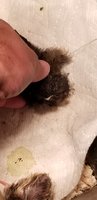 20180519_190414.jpg