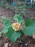 20180519_164759.jpg