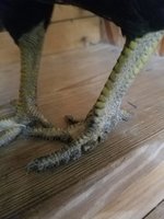 20180520_135604.jpg