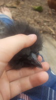 20180520_175052.jpg