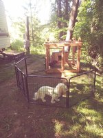 20180511_161059_Film4.jpg