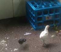 20180520_173338_2.jpg