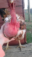 20180520_201253.jpg