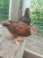 20180521_084713.jpg
