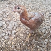 20180521_085627.jpg