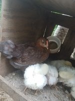 20180521_084459.jpg