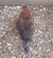 20180521_085502.jpg