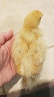 20180514_153330.jpg