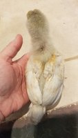 20180514_153511.jpg