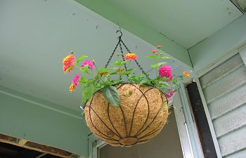 Hanging-Pot.jpg Hanging-Pot.jpg