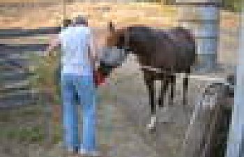 MefeedingVerve2007.jpg