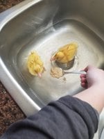 20180521_155116.jpg