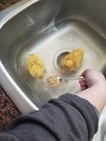 20180521_155111.jpg