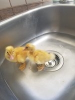 20180521_154611.jpg