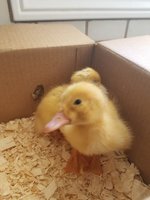 20180521_154339.jpg