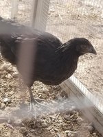 20180521_180343.jpg