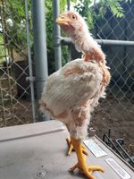 20180521_192623.jpg