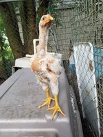 20180521_192811.jpg