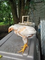 20180521_192816.jpg