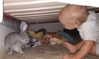 20180517_160709_1526591450000.jpg