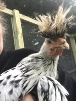 F3C2329D-F164-4DEE-8F3C-44B1FC27C405.jpeg