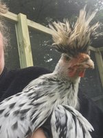 49508041-BCC3-40C6-BD5D-D621B9102599.jpeg