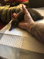 F633E975-E0AA-444C-863A-442280A44628.jpeg