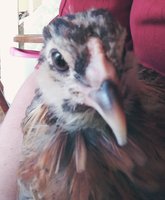 20180521_071247.jpg
