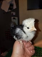 20180522_101741.jpg