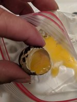 IMG_20180523_092421.jpg