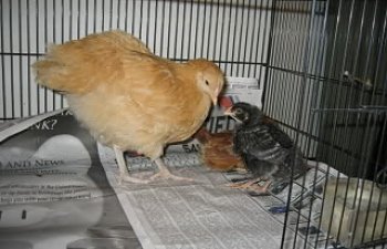 IMG_1324.jpg IMG_1324.jpg