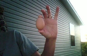 IMG000151.jpg IMG000151.jpg