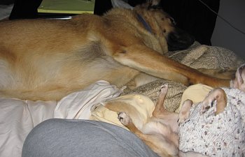 IMG_0038.jpg IMG_0038.jpg