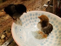 20180523_184234.jpg
