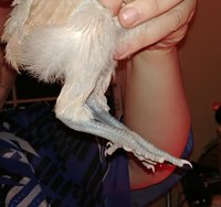 20180522_222607.jpg