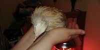 20180522_222531.jpg