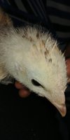 20180522_222442.jpg