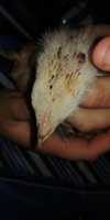 20180522_222506.jpg