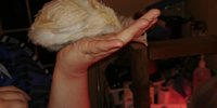 20180522_222600.jpg
