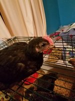 20180524_003229.jpg