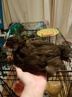 20180524_003130.jpg